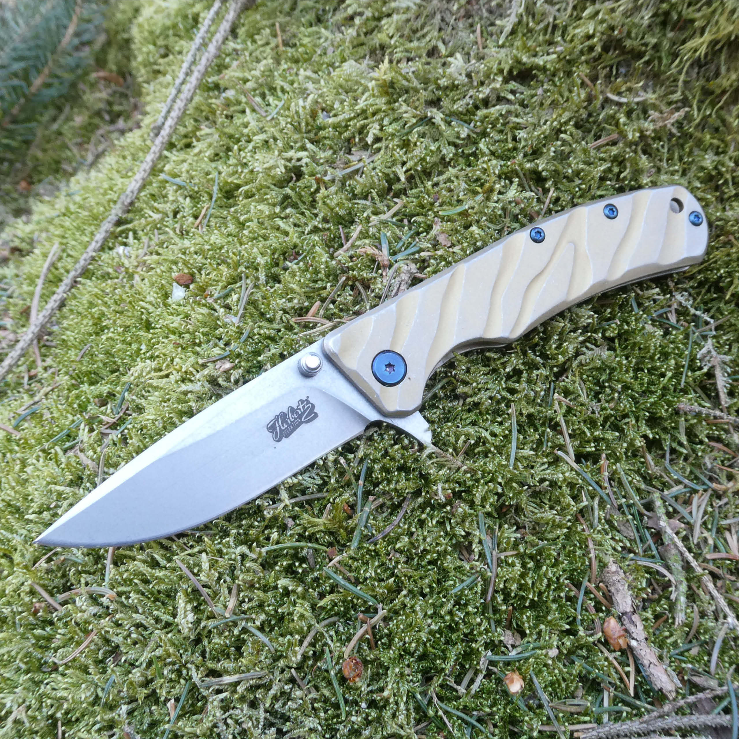Einhandmesser aus der Herbertz Selektion Serie 53019 bei ISS bestellen